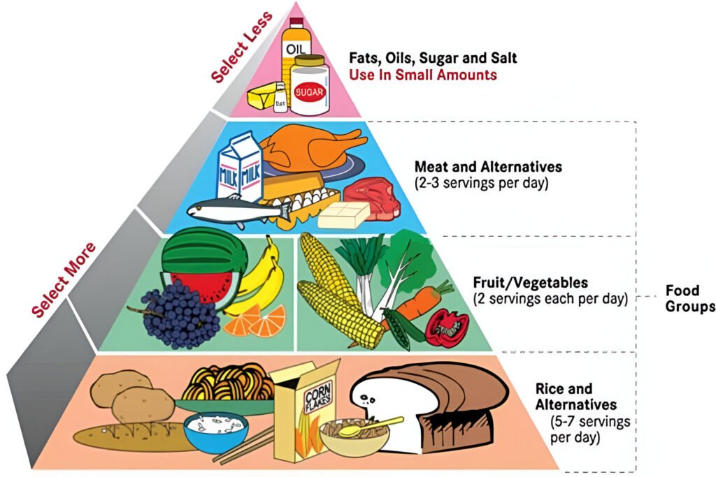 Balance Diet Plan