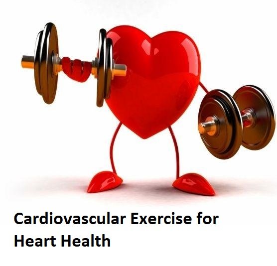 Cardiovascular Exercise for Heart Health